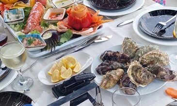 motoryat. Voyager 19 metre. Antalya - 0022